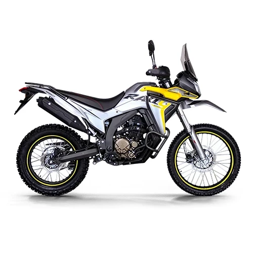 VOGE 300GY Rally '25